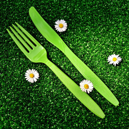 Wisefood Forchette In Bambù USA E Getta - 100 Pezzi Da 17 Cm - Biodegradabili E Compostabili, Alternative Alla Plastica